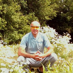 ���� �������, ������� - ��������� 15 ���� 2017