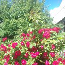 ���� ������, ������� - ��������� 24 ���� 2017 � ������ ������ ��������