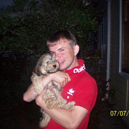 �������, ���������, 40 ���