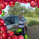 ���� �������, ��������, 71 ��� - ��������� 13 ������ 2017