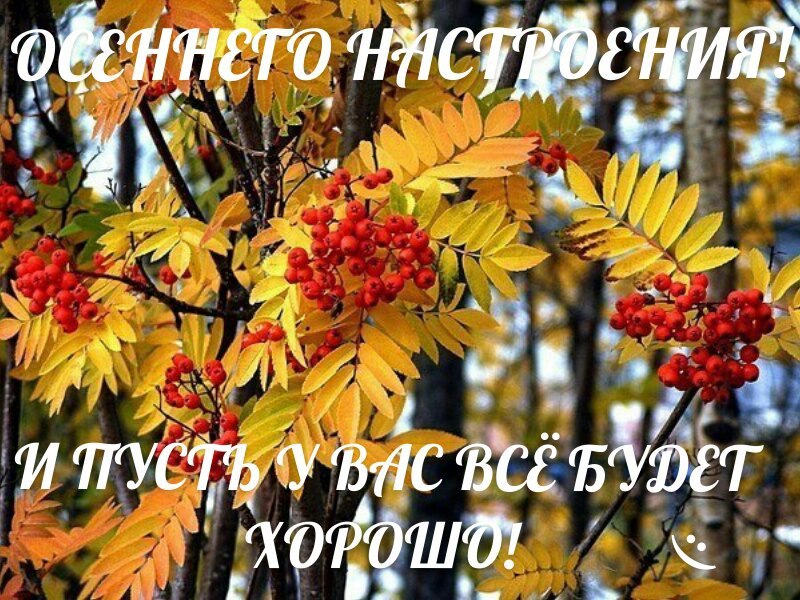 - 21  2017  15:00