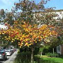  , - -  30  2017   !!