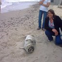 ���� ���������, �����������, 58 ��� - ��������� 24 ���� 2017