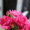 ���� �������, ��������� - ��������� 8 ���� 2017 � ������ ������-�������� ������ۻ