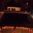 ���� �����, ������ - ��������� 30 ������ 2017 � ������ ���� ����������