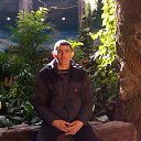 ���� �����, �����������, 42 ���� - ��������� 8 ������ 2017