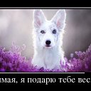  Andrey,  -  1  2017    