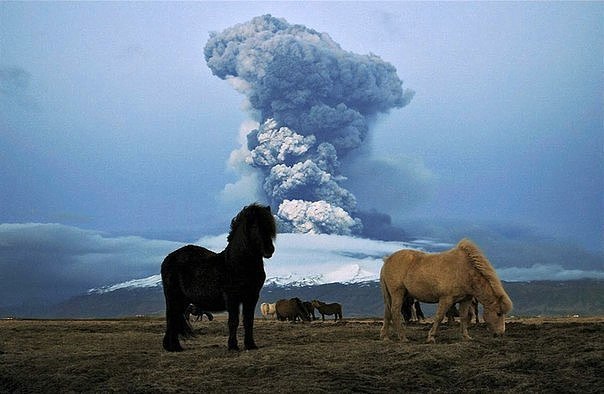   Eyjafjallajkull. 