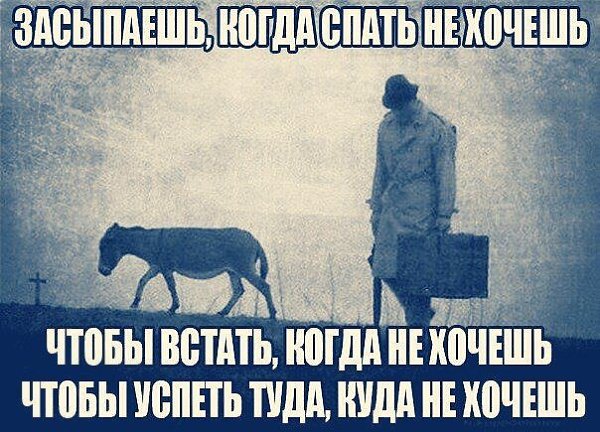     - 18  2017  06:42