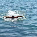 ���� ���������, ����� - ��������� 14 �������� 2017