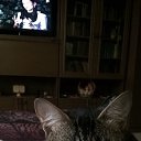 ���� ���������, ������� �����, 47 ��� - ��������� 4 ������� 2017 � ������ ���� ����������