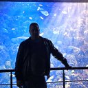  , , 43  -  4  2017     !!!