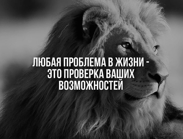  |   - 7  2017  09:25