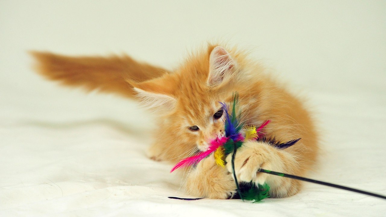  -  - 14  2017  16:28