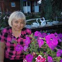 ���� ������, �����, 62 ���� - ��������� 1 ���� 2017 � ������ ���� ����������