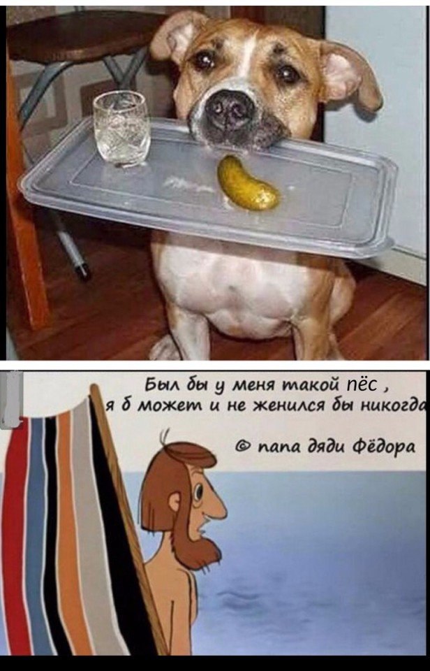   - 23  2017  05:02