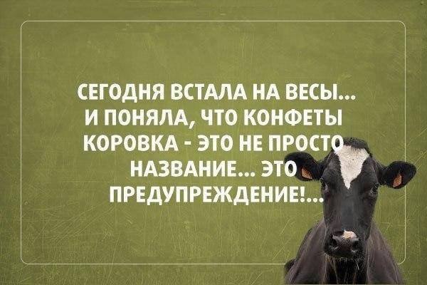   - 21  2017  21:53