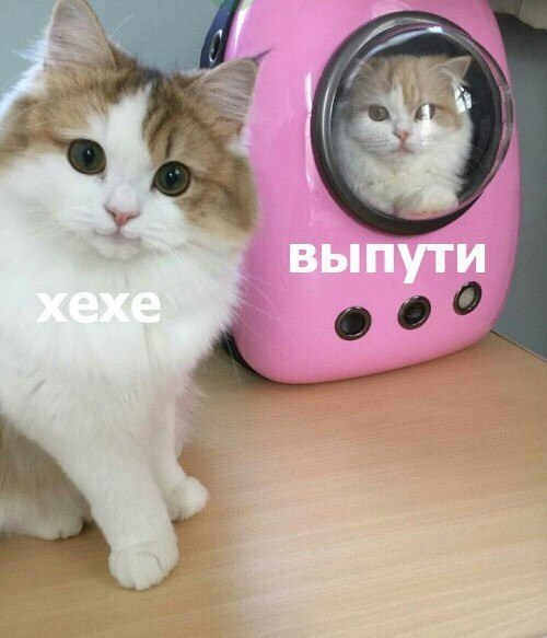  - 18  2017  15:10