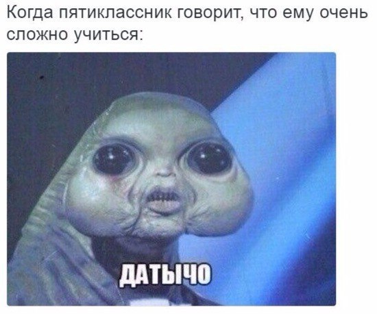    :D - 15  2017  03:02