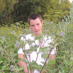 �������, ������, 40 ���