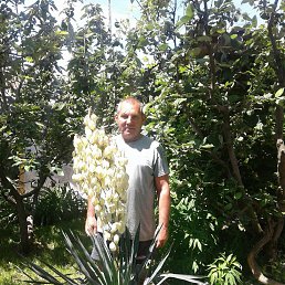 �������, ��������, 61 ���