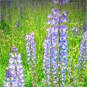  , -, 53  -  10  2017    