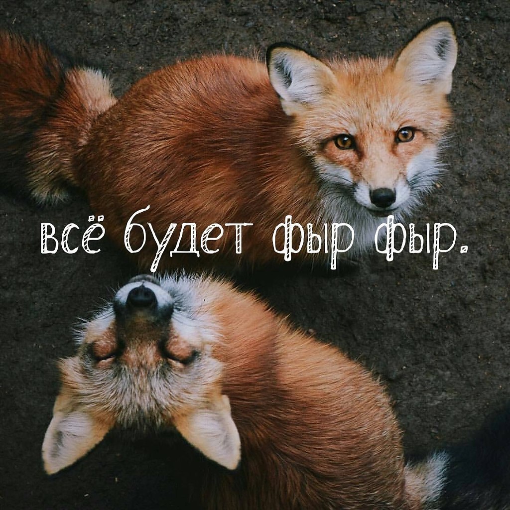   . . . - 1  2017  03:37