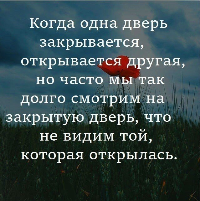 BEST | , ,  - 31  2017  03:43
