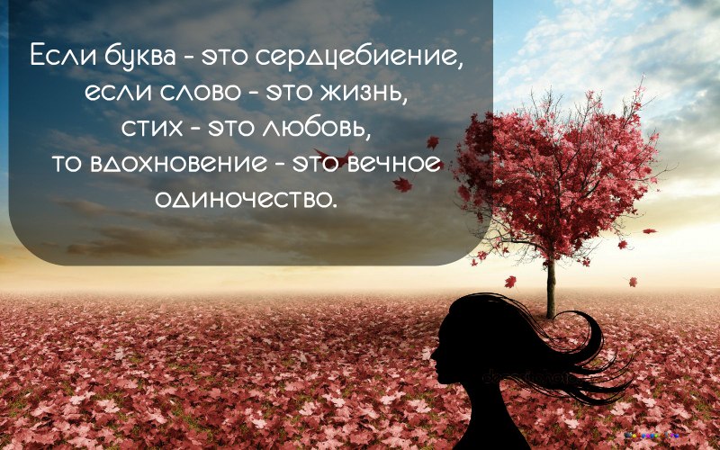 : " ".   -  ,   -  ,  -  ... - 2