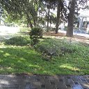  , , 60  -  2  2017   ,02.09.17. &quot;  &quot;