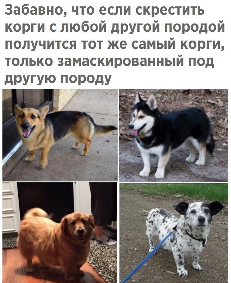   - 2  2017  12:44