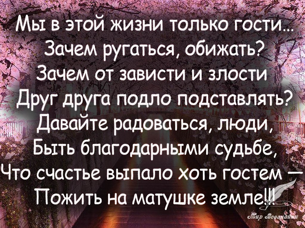   - 11  2017  20:38