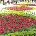 �������� � ����� ����� �� ������� ������ 2017�