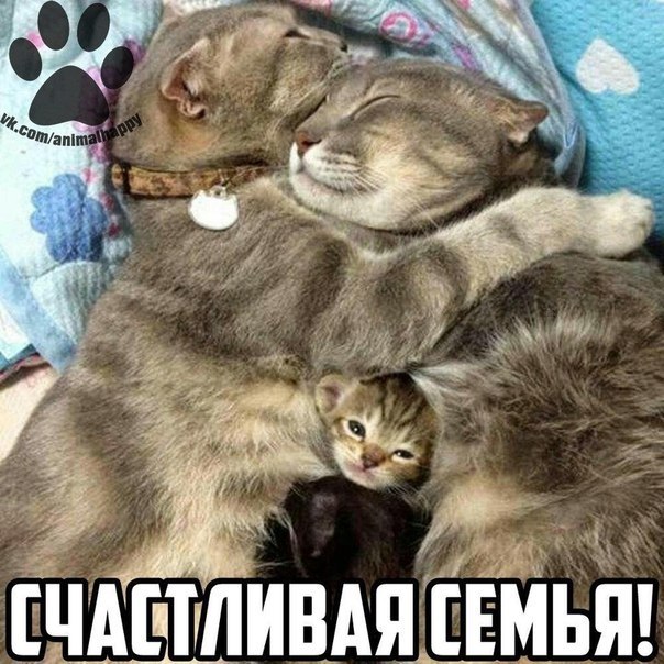 ��� �������� �������� - 26 ��� 2017 � 16:14