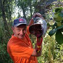 ���� ����, ������ �������� - ��������� 8 �������� 2017 � ������ ���� ����������