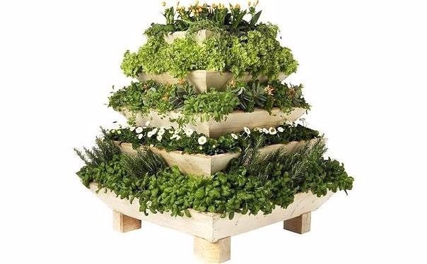 ���� ��� ���� - 5