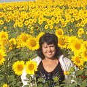 ���� �����, ������ �������� - ��������� 23 ������� 2017 � ������ ������ ���� 2017�. ������� ������������ ���. �10-13. 08.17�.�