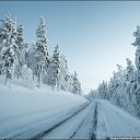 ���� �����, ����, 40 ��� - ��������� 16 �������� 2017 � ������ �����