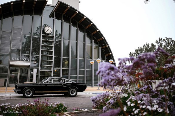 1966 Shelby GT350H 