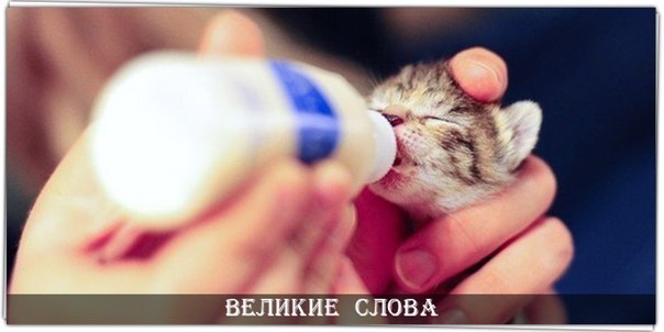 У каждого человека есть цена. Она определяется его поступками, словами, образом жизни. Некоторые ...