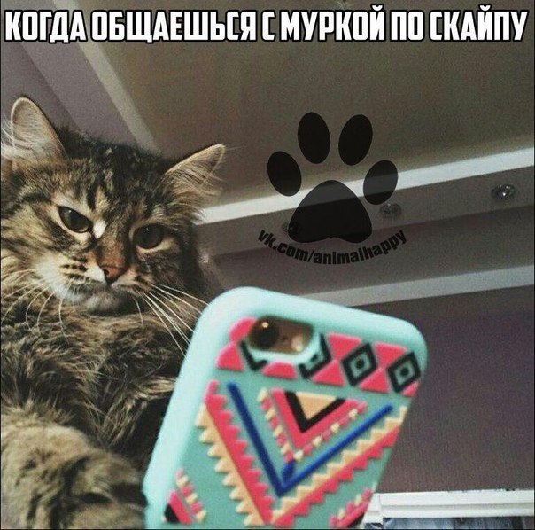   - 5  2017  18:12