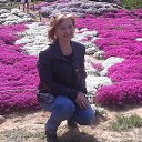 ���� ����, ������ - ��������� 12 ��� 2017 � ������ ���� ����������