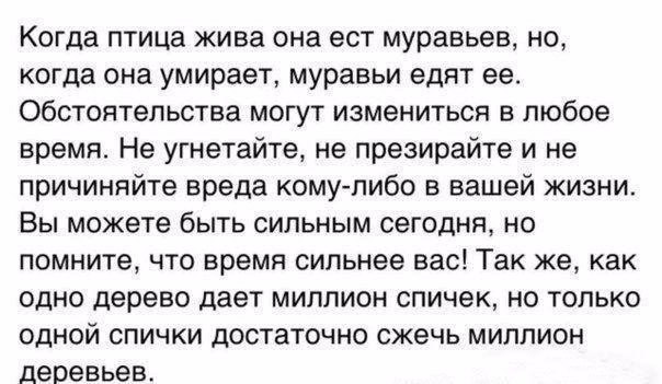 BEST | , ,  - 30  2017  22:12