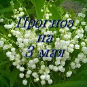 ���� ������, ���������, 55 ��� - ��������� 2 ��� 2017 � ������ ������ ��������