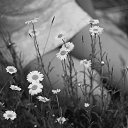  ~~~ Lena, , 41  -  19  2017