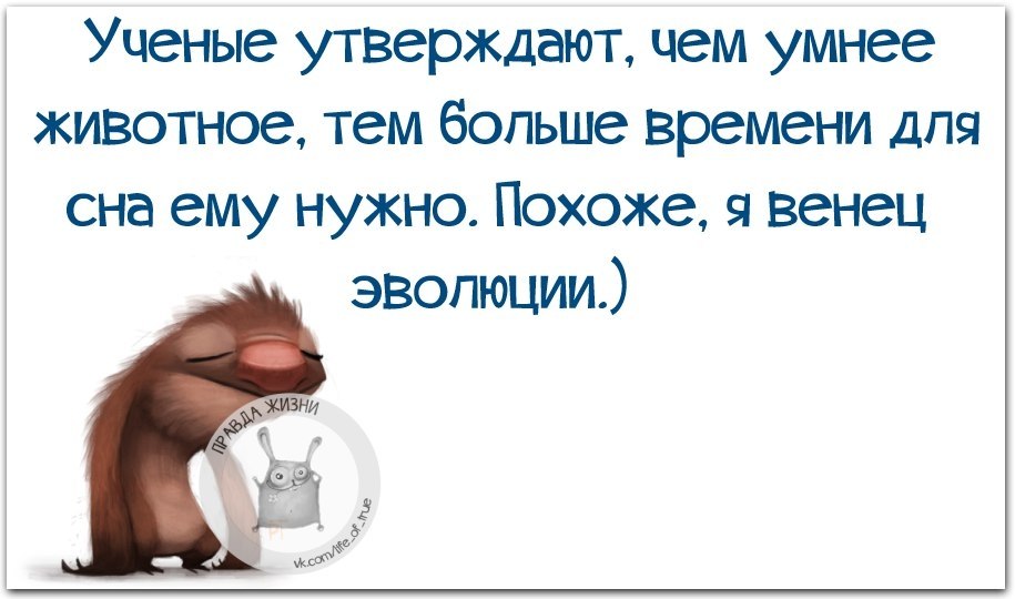  - 13  2017  02:12