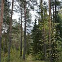 ���� �������, ����� - ��������� 17 �������� 2017 � ������ ���� ����������