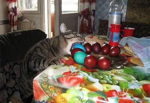 - Может это у вас Пасха закончилась, но не у меня....
