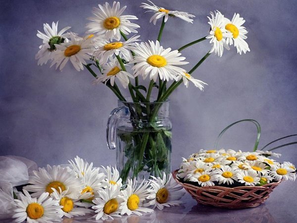 : ,     ,     ,      ...