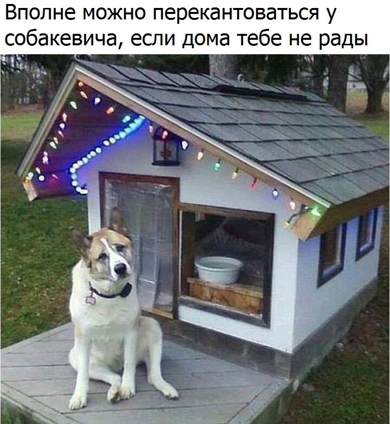   - 17  2017  20:38